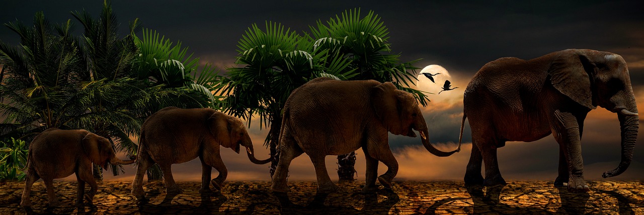 Climate Change: A Driving Factor for the Sixth Mass Extinction?